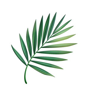 leaf image