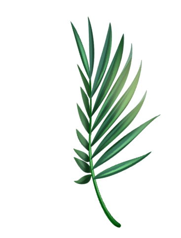 leaf image