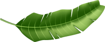 leaf image